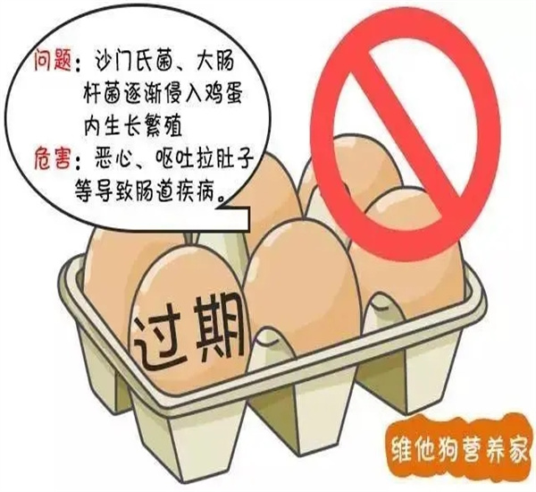 广州番禺区食品销毁处置报废中心汇总表2022已更新/销毁推荐